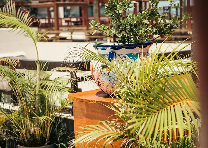 Aldea Thai Beachfront * Playa del Carmen